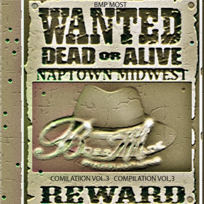 Bmp Most Wanted