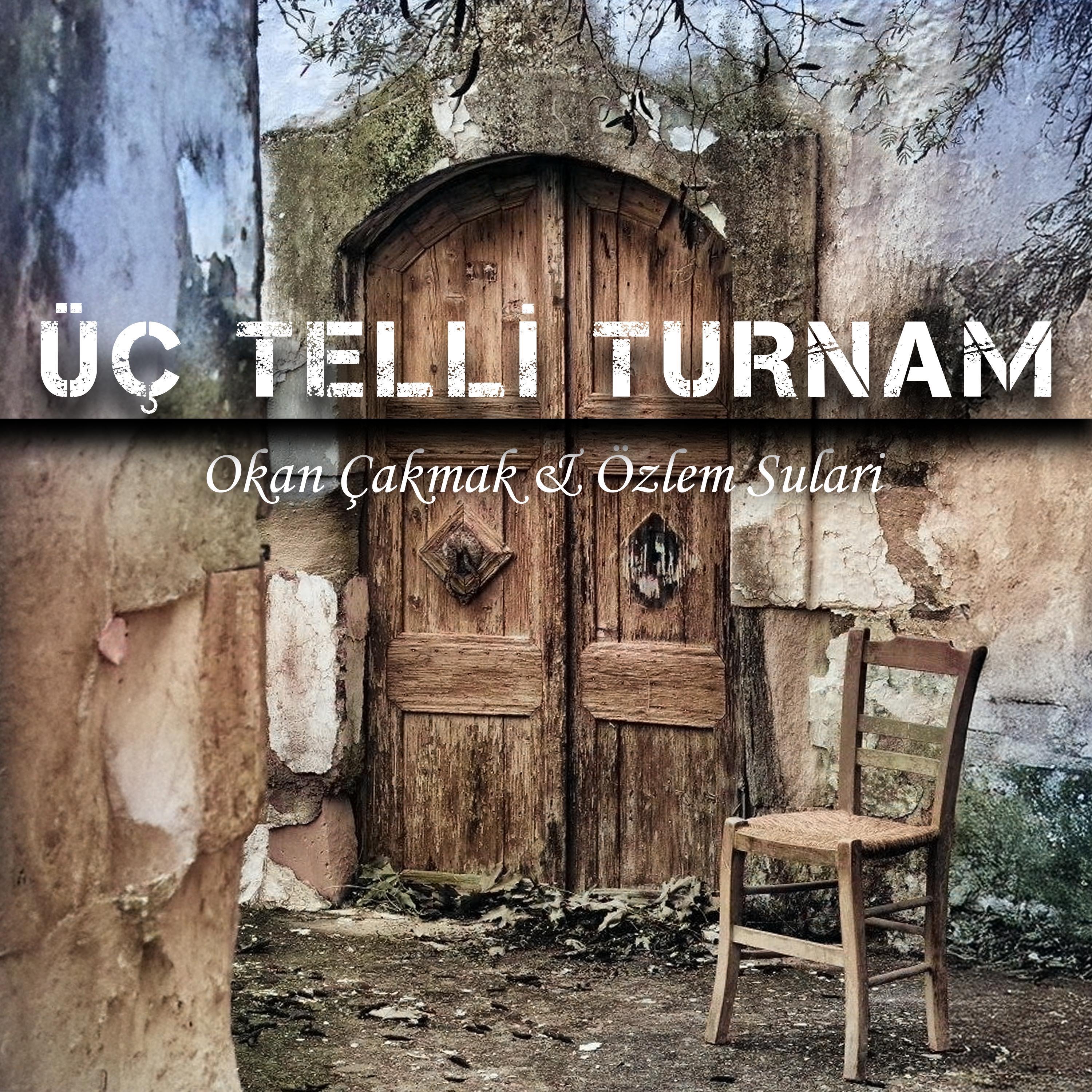 Üç Telli Turnam (feat. Özlem Sulari) - Single