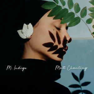 Moonlit Verdure, Segue to Infinity