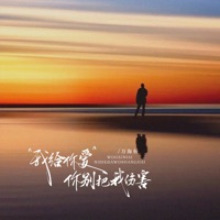 我给你爱你别把我伤害(DJ九零版) - Single - 万海东
