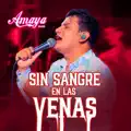 SIN SANGRE EN LAS VENAS