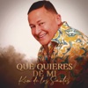 Que Quieres De Mi - Single