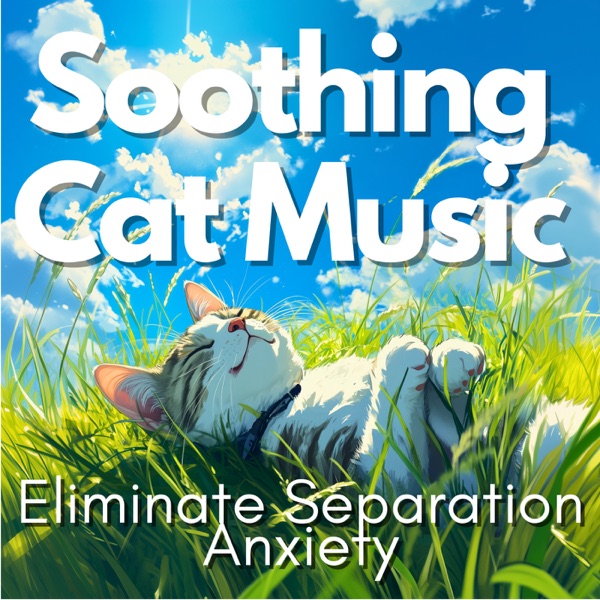 Soothing Cat Music - Eliminate Separation Anxiety