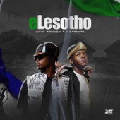 eLesotho (feat. SANNERE) artwork