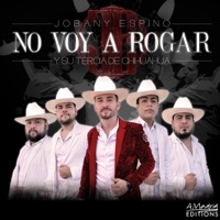 No Voy A Rogar - Single - Jobany Espino Y Su Tercia De Chihuahua