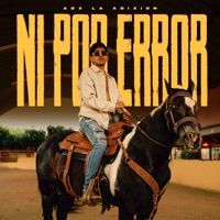 Ni Por Error - Single - La Adixión