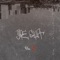 Wild Colors - Lumi lyrics