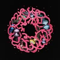 Ready Tide — Liquid Pennies