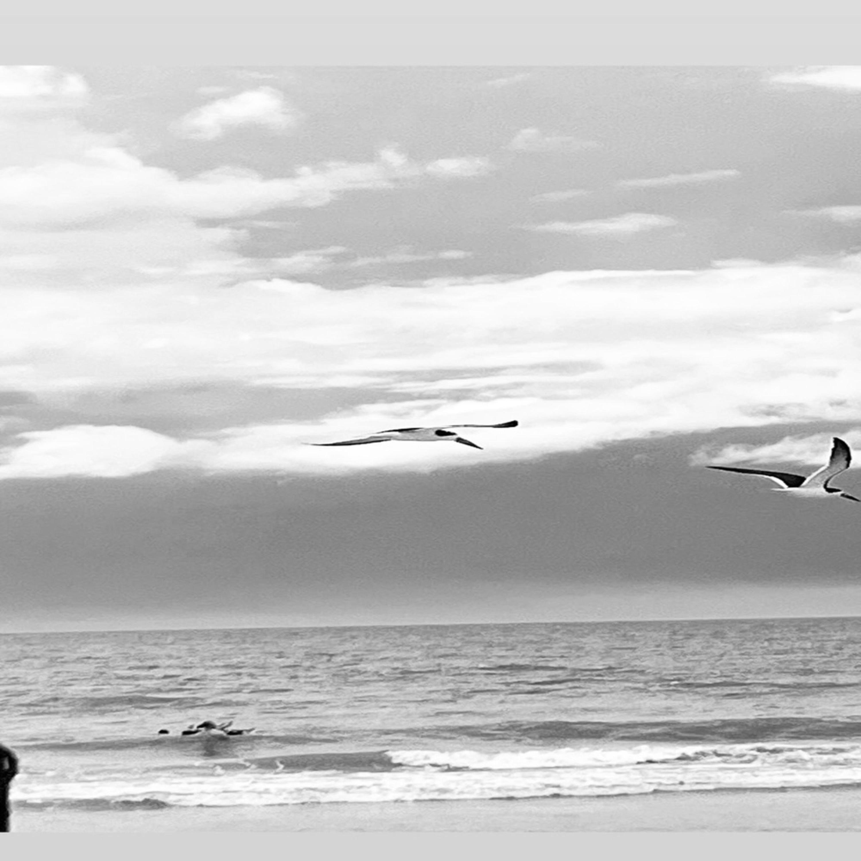 Your Melody - Single