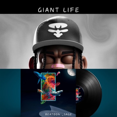 Boombap Sage - Single