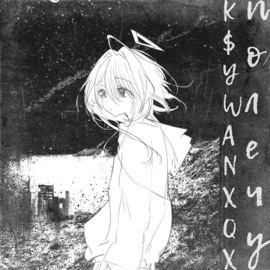 полечу K$YWA & NXQX