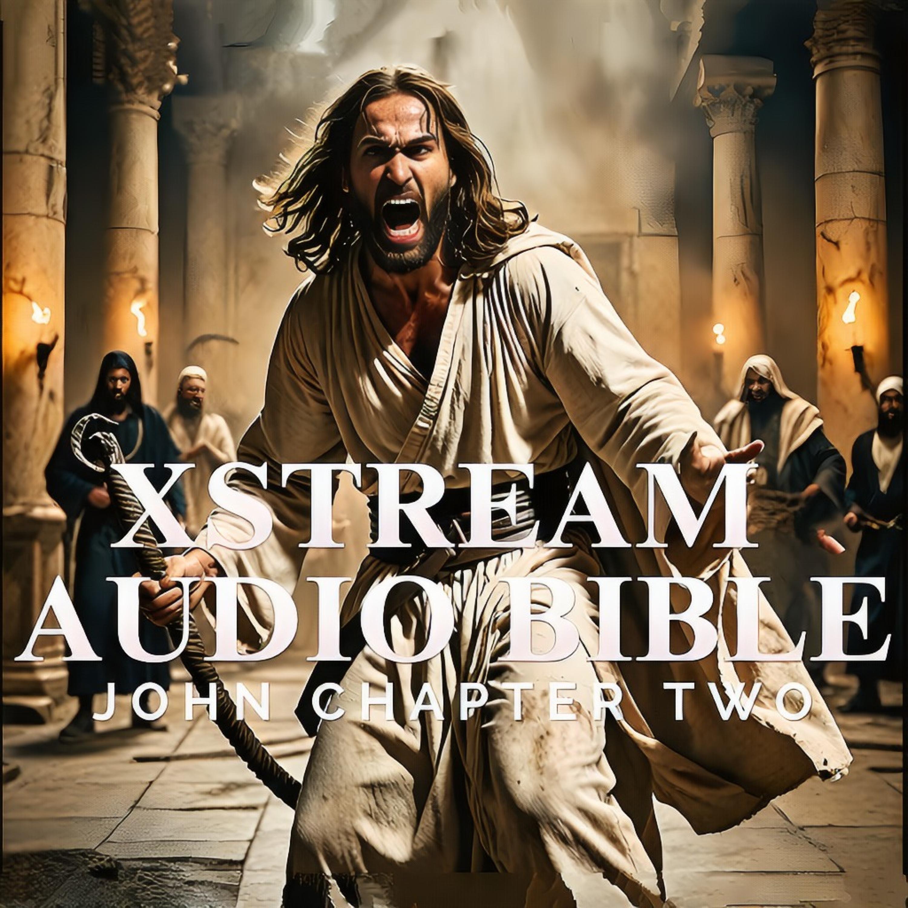 JOHN CHAPTER TWO - Single