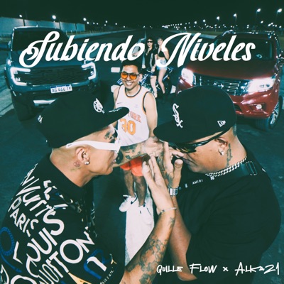 Subiendo Niveles (feat. Alka21) - Single