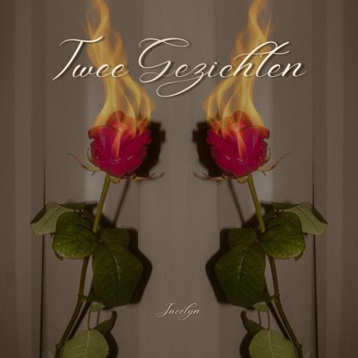 Twee Gezichten - Single