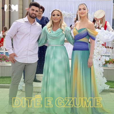 Ditë e Gzume - Single