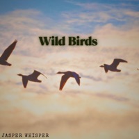 Wild Birds (feat. Ayoub Houmanna, Sensory Meditation, Flame Timo, Nina Nalo & Alma Lin) - Single - Jasper Whisper