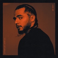 Сгорая дотла - Single - Аш 23