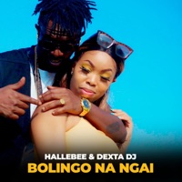 Bolingo Na Ngai (Ni Wewe) [feat. Halle Bee] - Single - Dexta DJ