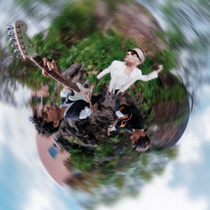 Album cover for Panorama