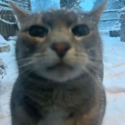 piosenka bez nazwy bo nie mam pomysłu - Single