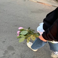 в темноте пока все спят - Single - pinkморе