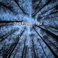 Jag Flyger Nu