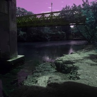 neva be sober - Single - shecallmedlo