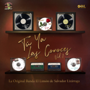 Tú Ya Las Conoces, Vol. 1 - La Original Banda El Limón de Salvador Lizárraga