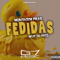 Montagem Pras Fedidas - Beat do Pato - Single - DJ MENOR DS & MC VILÃO ZS
