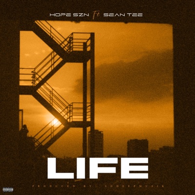 Life (feat. Sean Tee) - Single