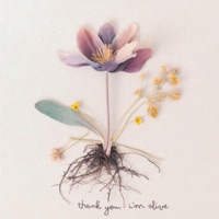 thank you, i'm alive - Single - Kellie Rose