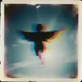 Lift Me Up