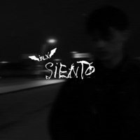 SIENTO (feat. Licenciado blunt) - Single - BLX Luna
