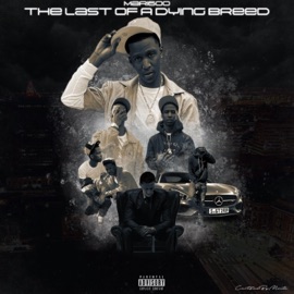 3Feet (feat. Finesseyoplug) Mari600