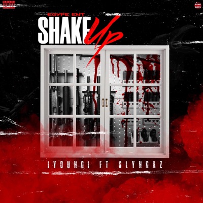 Shake Up (feat. Slyngaz) - Single