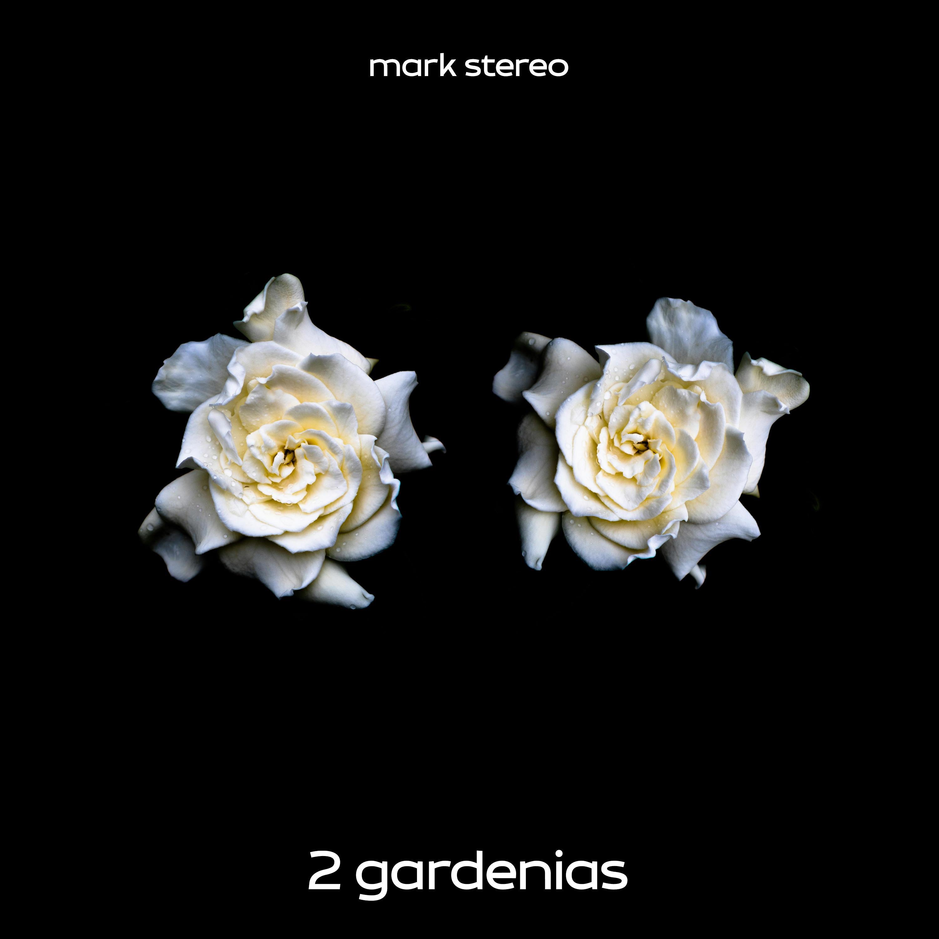 2 Gardenias - Single