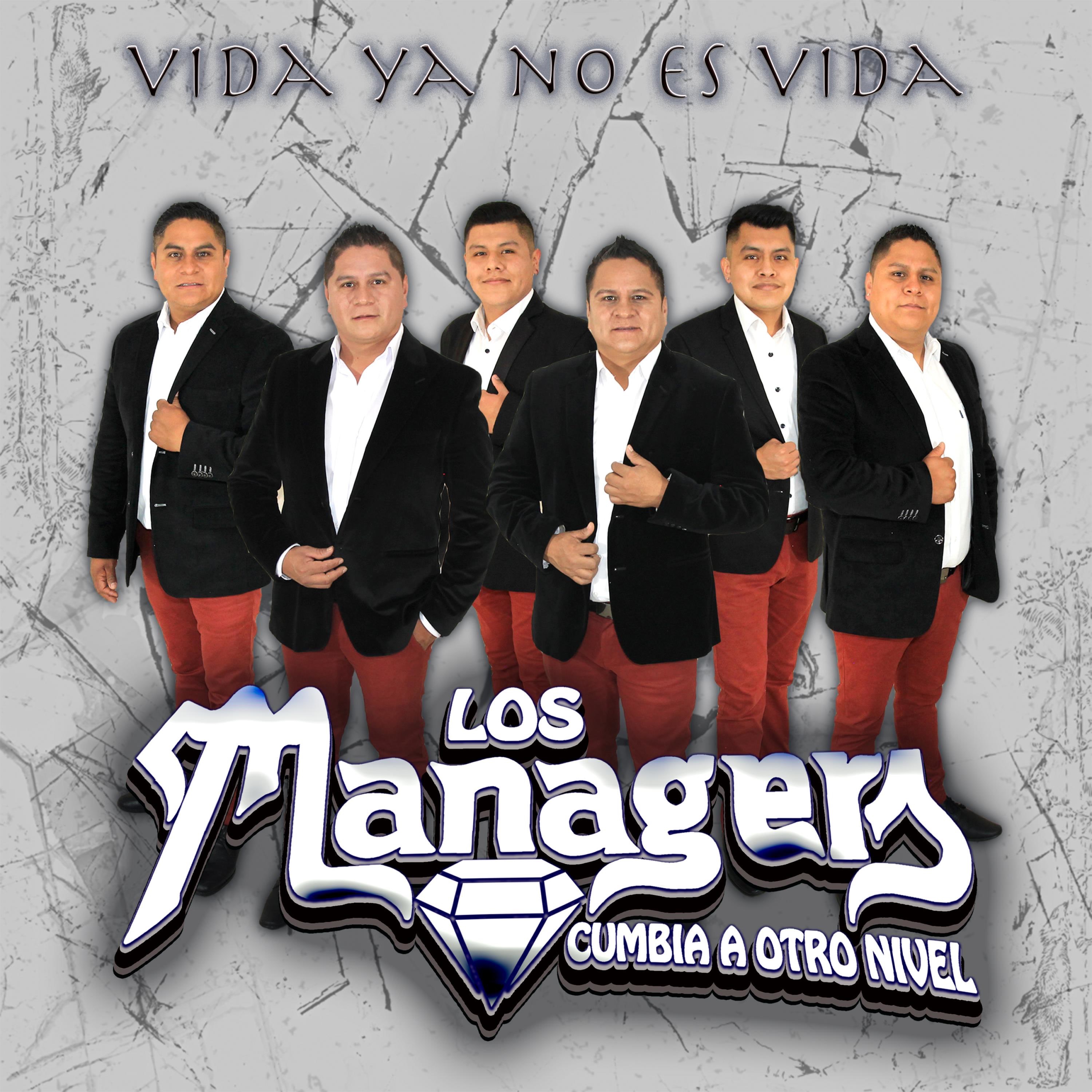 Vida Ya No Es Vida - Single