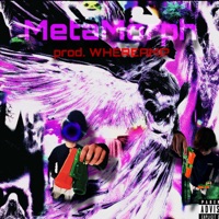 MetaMorph - Single - Winterz