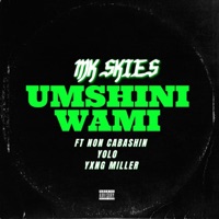 UMSHINI WAMI (feat. NON CABASHIN, YOLO & YXNG MILLER) - Single - MK SKIES