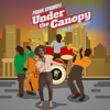 Under The Canopy - Frank Edwards