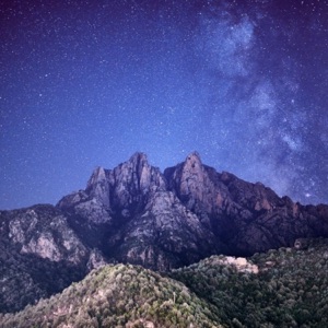 Momentary Bliss - EP