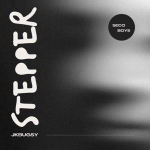 STEPPERS