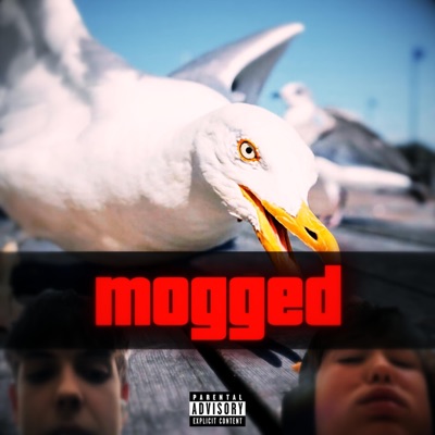Deal (Måke Disstrack) - Single