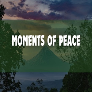 Moments of Peace - Single