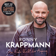 Am Ende bleibt der Anfang - Ronny Krappmann