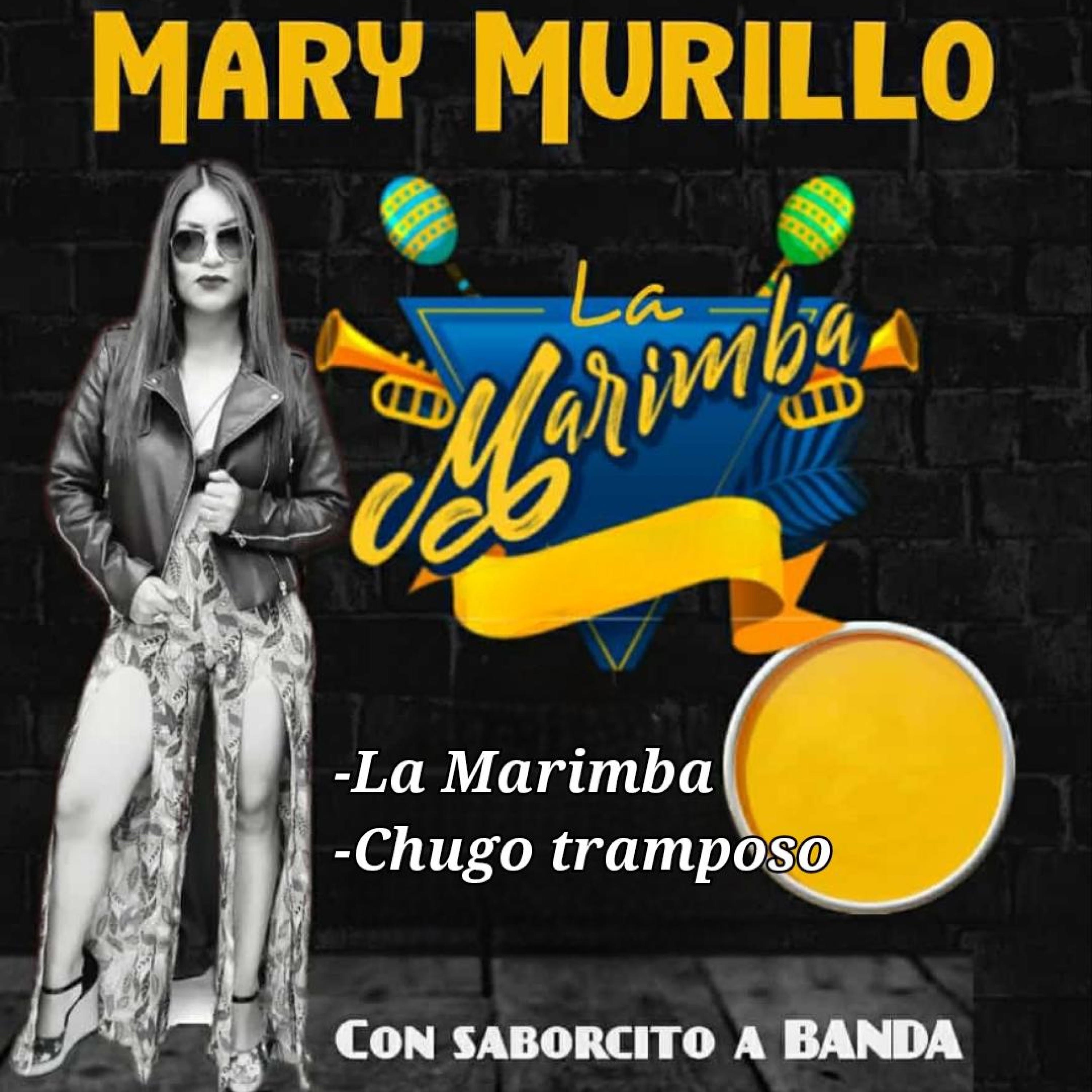 LA MARIMBA Álbum 6 - Single