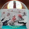 Winter Sun