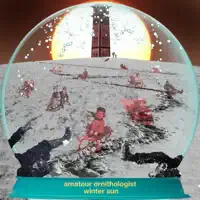 Winter Sun — Amateur Ornithologist