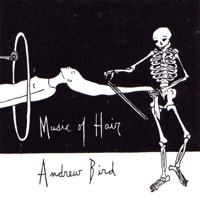 Music of Hair - Andrew Bird