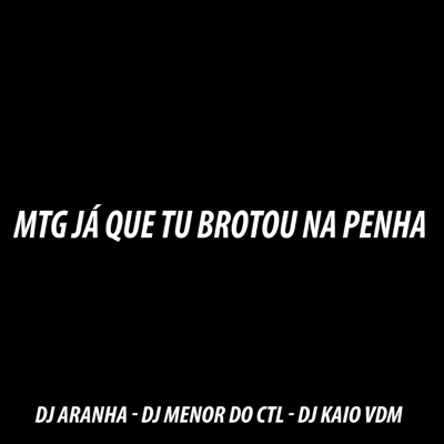 Mtg Ja Que Tu Brotou na Penha - Single